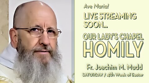 Who Will Do Works Greater than Christ's? - April 27, 2024 - HOMILY