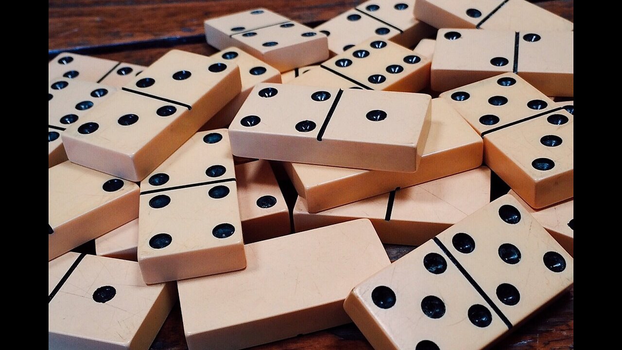 Funny cats having fun with dominoes game