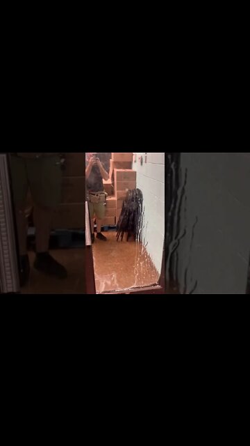 Ghost cleaning a mirror