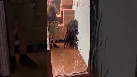 Ghost cleaning a mirror