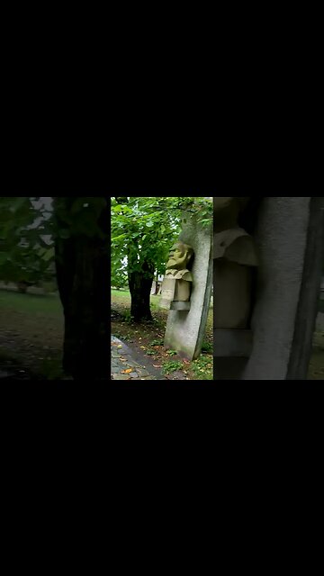 Golesti MUSEUM of Viticulture and Pomiculture | Golesti, ARGES | 4k Virtual Tour | #shorts