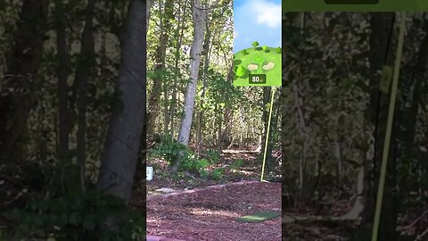 Country Club of Jackson (Pines/Woods) - Hole 15 #Shorts #Golf #Golfing #Golfer #SimGolf #GarminR10