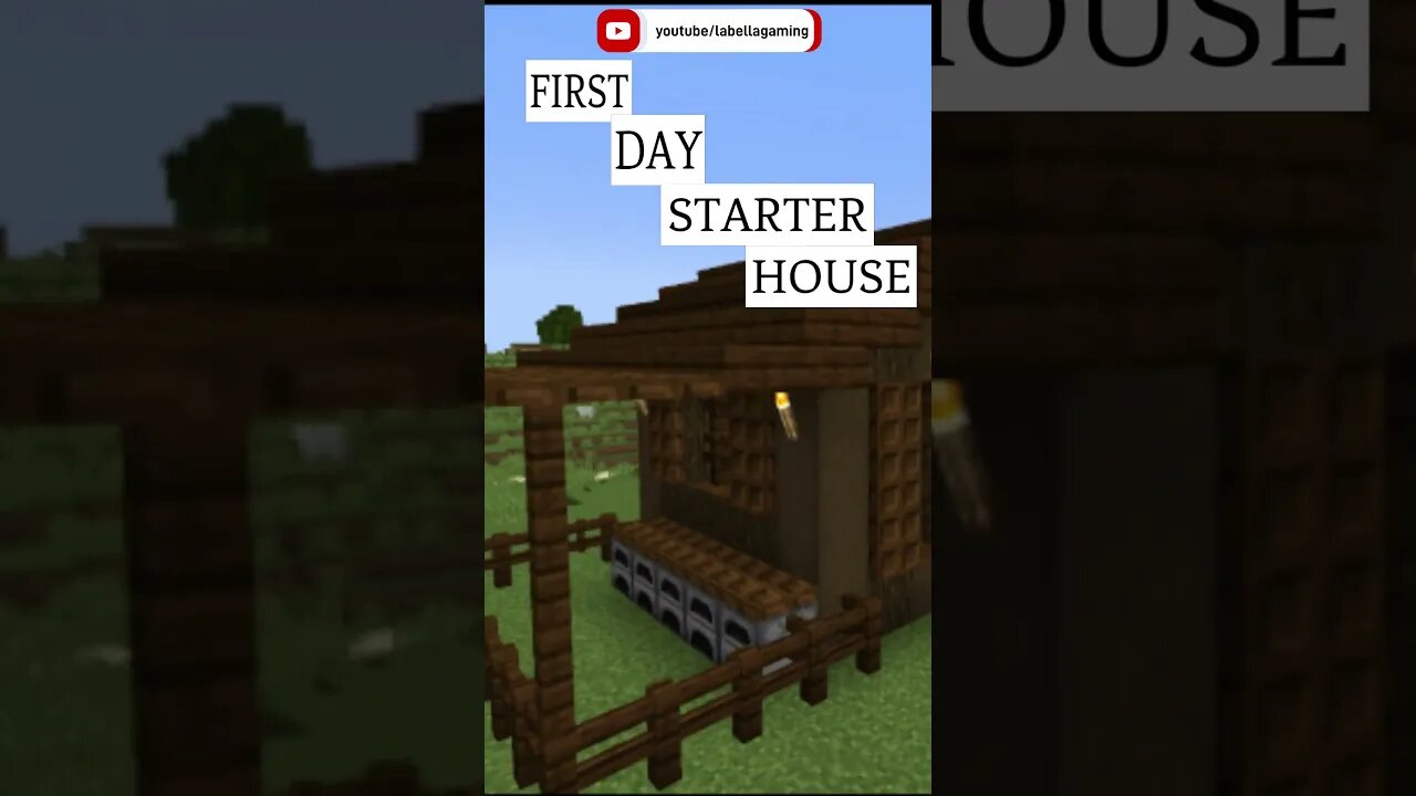 Dark Oak Day 1 Survival Starter House | Minecraft 1.20