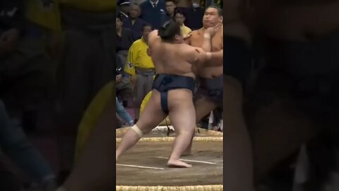 Stare down! #sumo #shorts #youtubeshorts #相撲 #大相撲 #力士 #相撲好き #大相撲観戦 #土俵 #大関 #相撲ファン #格闘技 #hoshoryu
