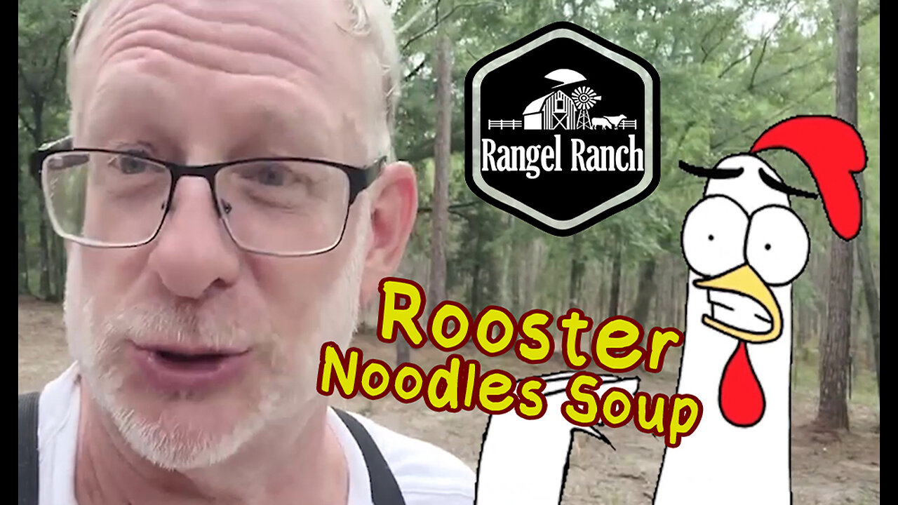 Rooster Noodles Soup