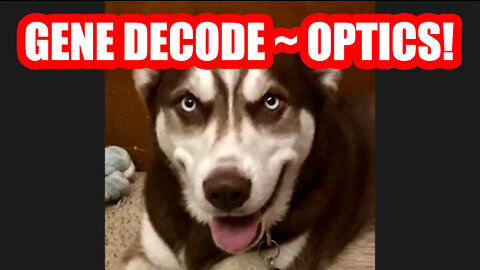 GENE DECODE ~ OPTICS!