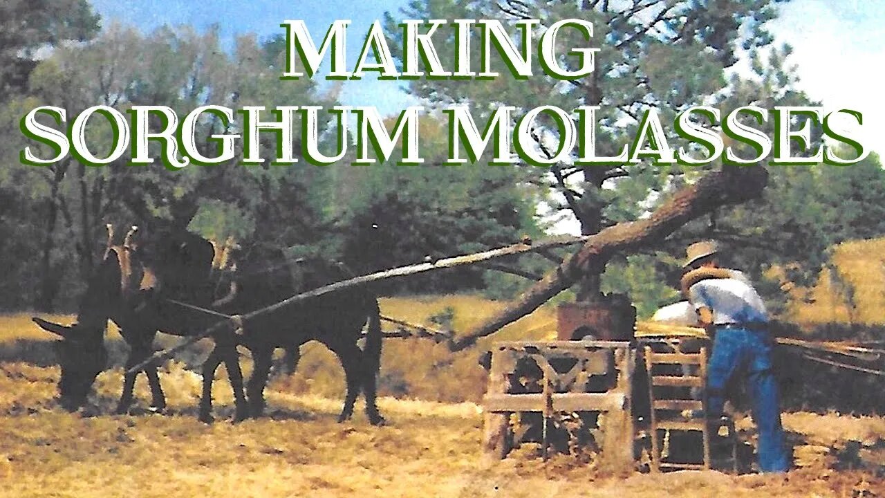 Making Sorghum Molasses (An Overview) - The FHC Show, ep 28