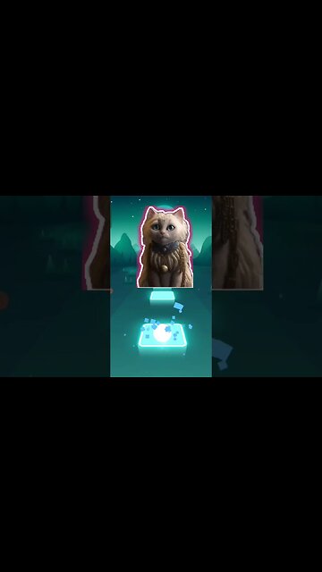 cat sing MONEY part 1 #shorts #music #cat