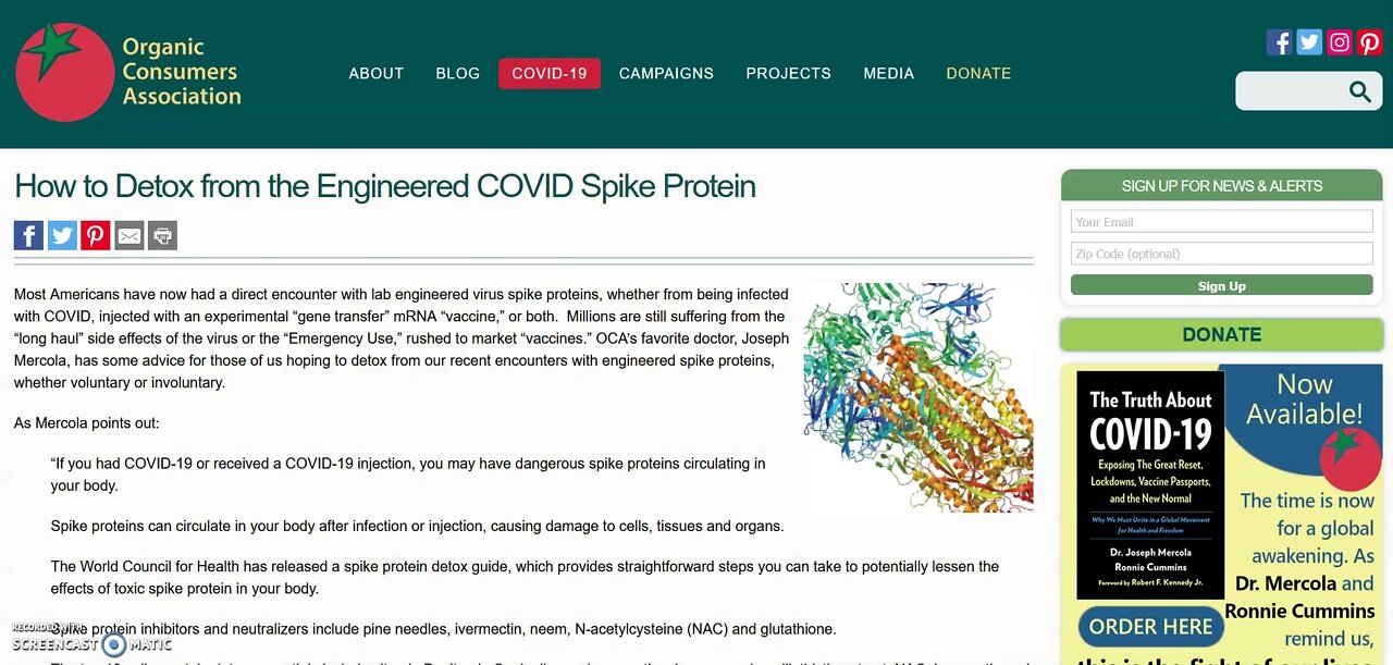 How to Detox from an Engineered Spike Protein