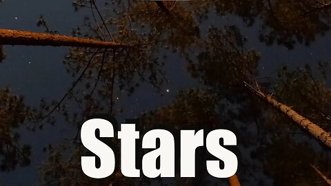 Stars, moon and trees time-lapse in South, Georgia