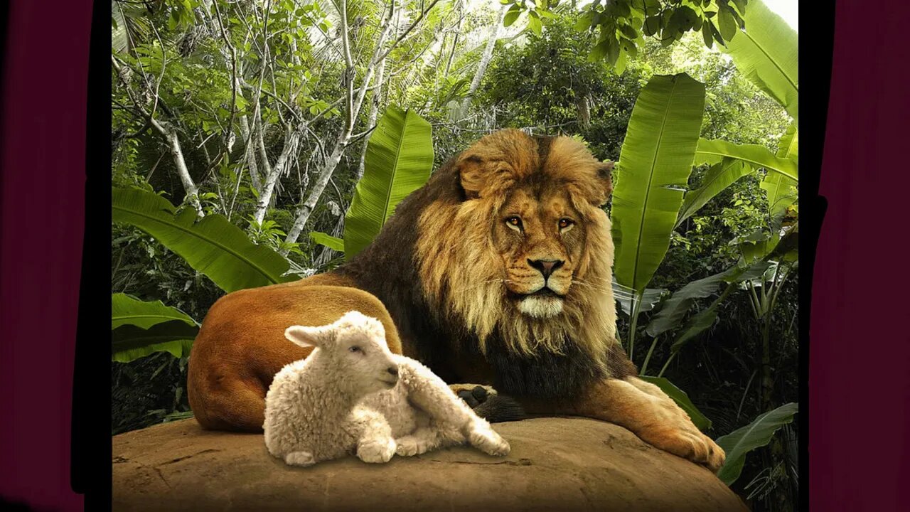 LION AND THE LAMB ,, why we have , that memory, when it NEVER existed