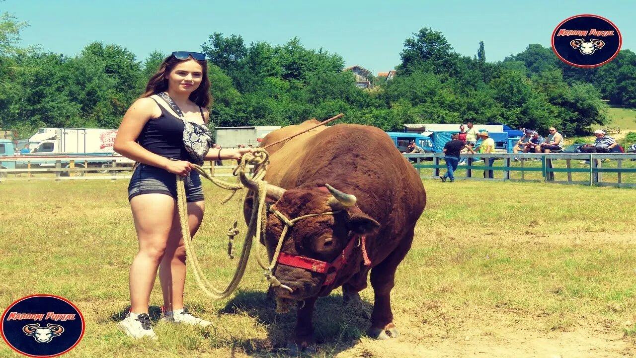 Beauty Martina and the Bull