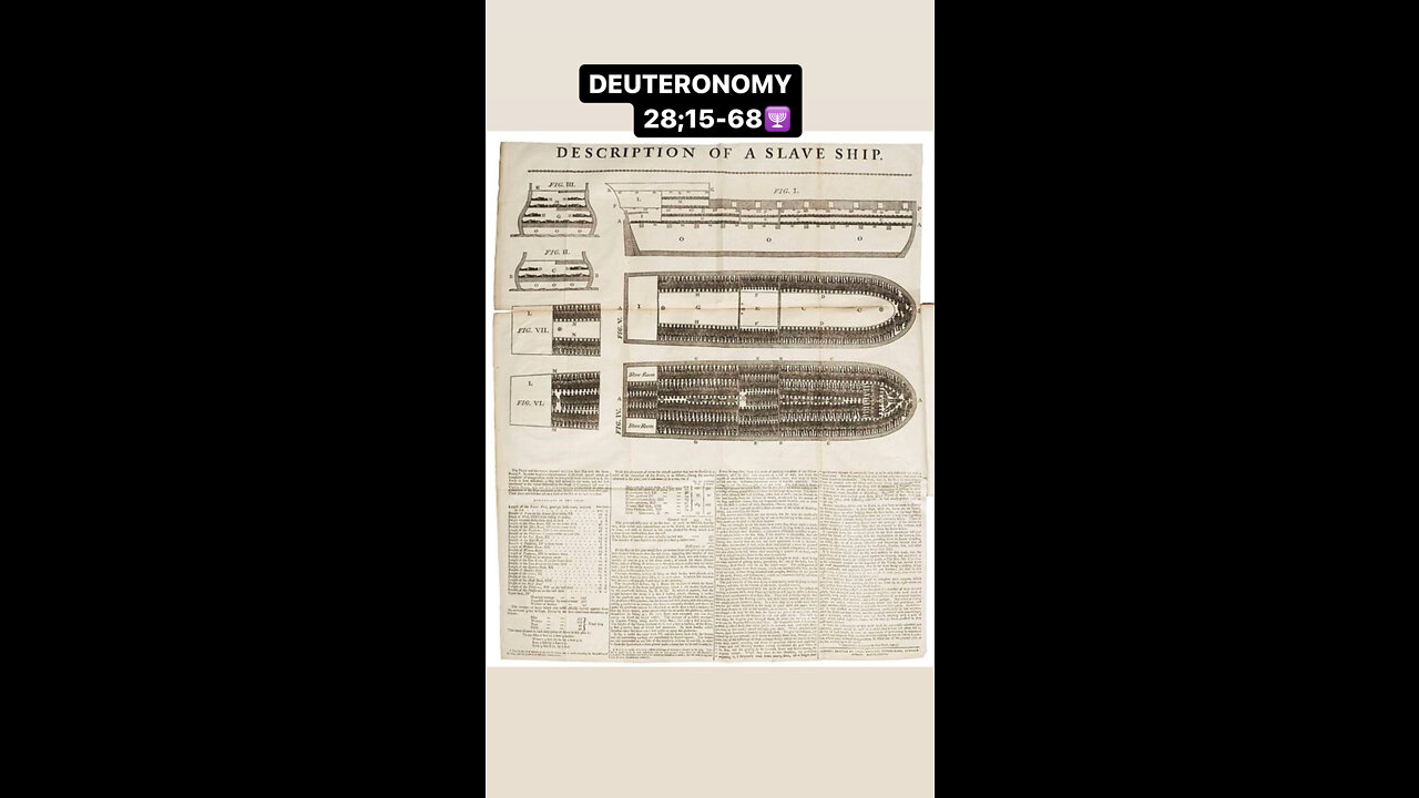 THE ASHKENAZI (EDOM) WERE THE BIGGEST SLAVERS IN THE 16TH & 17TH CENTURY GOING INTO THE 18TH CENTURY🕎 Joel 3:3 “And they have cast lots for my people; and have given a boy for an harlot, and sold a girl for wine, that they might drink.”