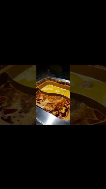 Ares Jack Russell taking hot pot