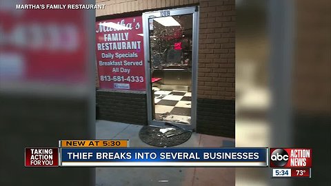 Thief cuts power before vandalizing five Seffner businesses