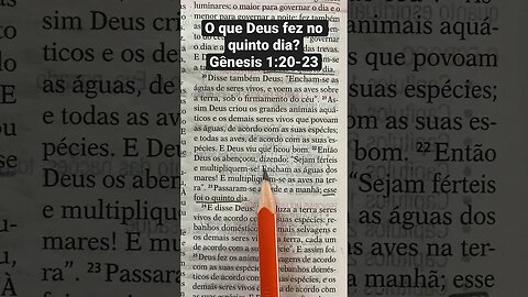 O que Deus criou no Quinto dia? Gênesis 1:20-23 leitura bíblica! #biblia #shorts #versículododia