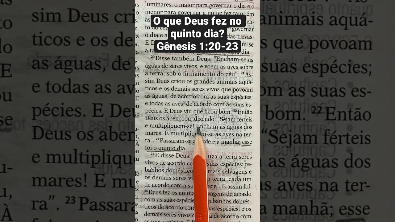 O que Deus criou no Quinto dia? Gênesis 1:20-23 leitura bíblica! #biblia #shorts #versículododia