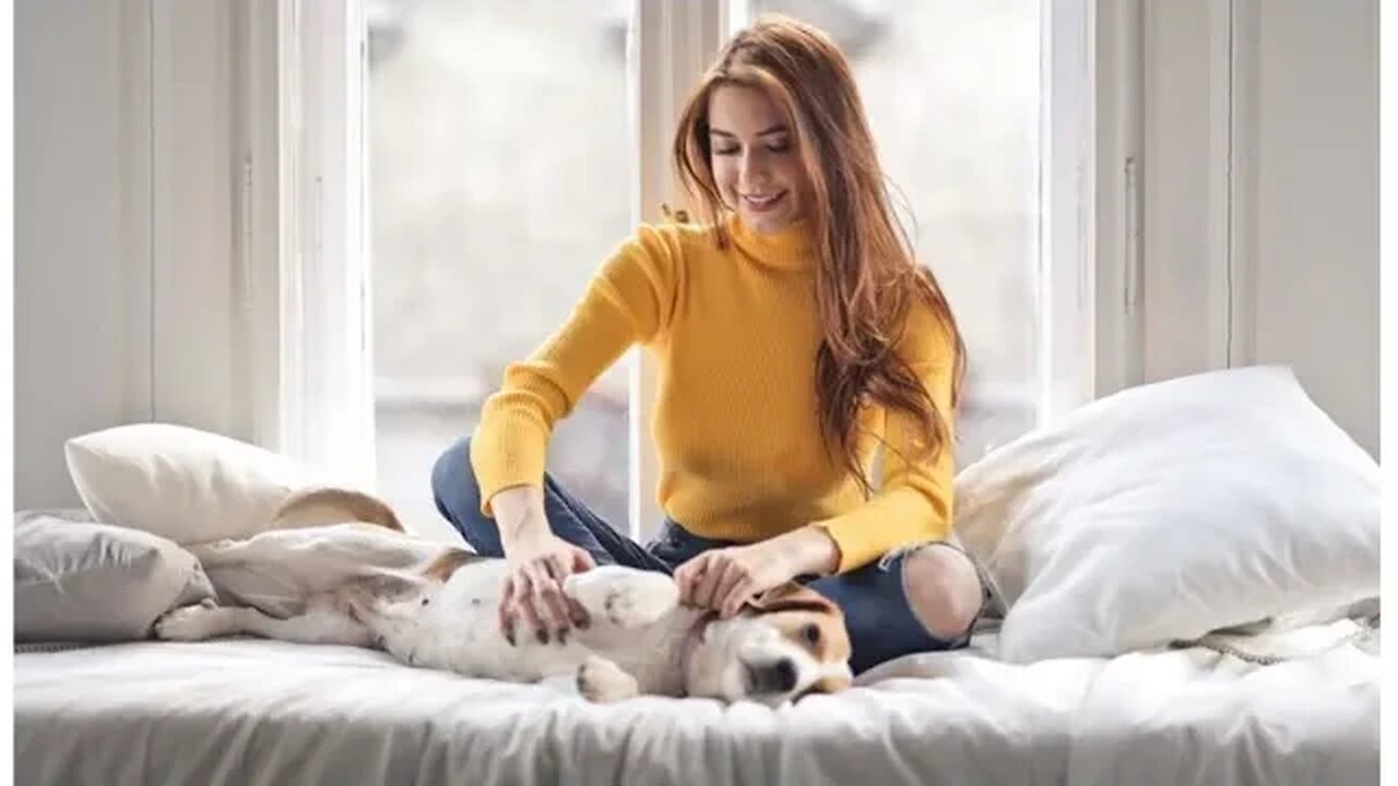 MUJERES optan por tener una mascota que ver feliz a su HOMBRE