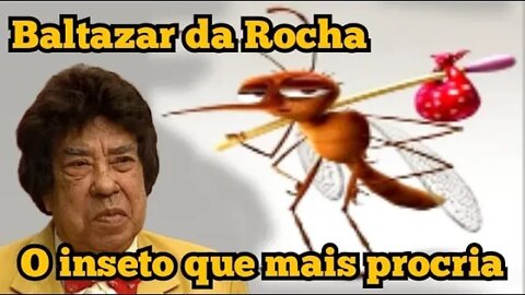 Baltazar da Rocha: o inseto que mais procria 🦋