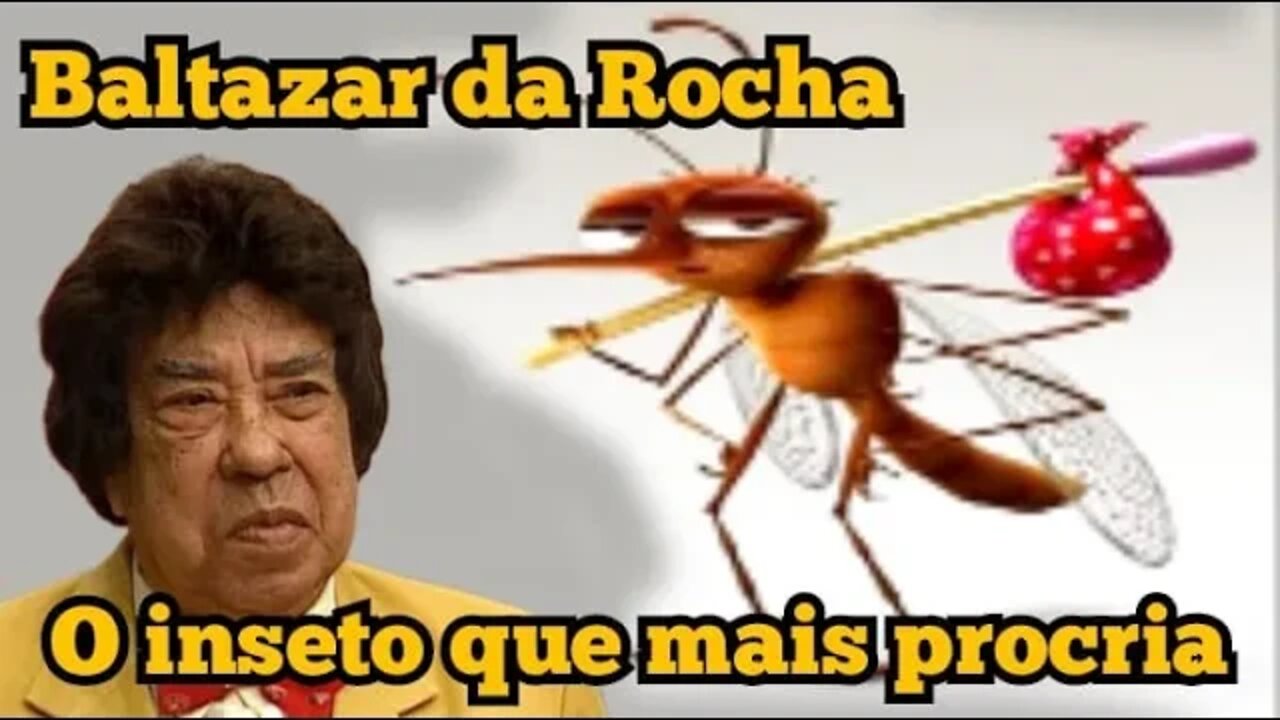 Baltazar da Rocha: o inseto que mais procria 🦋