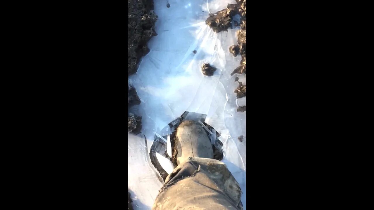 Stomp! - #Shorts