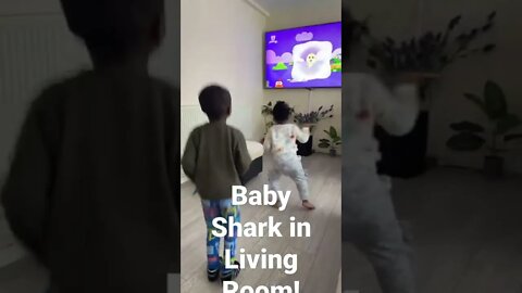 Baby Shark Dance!