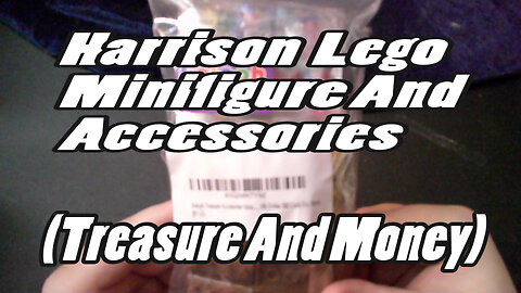 Harrison Lego Minifigure And Accessories (Treasure And Money)