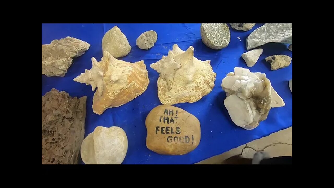 Maryland Gem show! minerals, fossils, & jewelry too