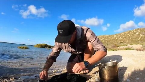 FOOD ~ CHAIN ~ FISHING ~ CHALLENGE tiny shrimp into HUGE SHARK