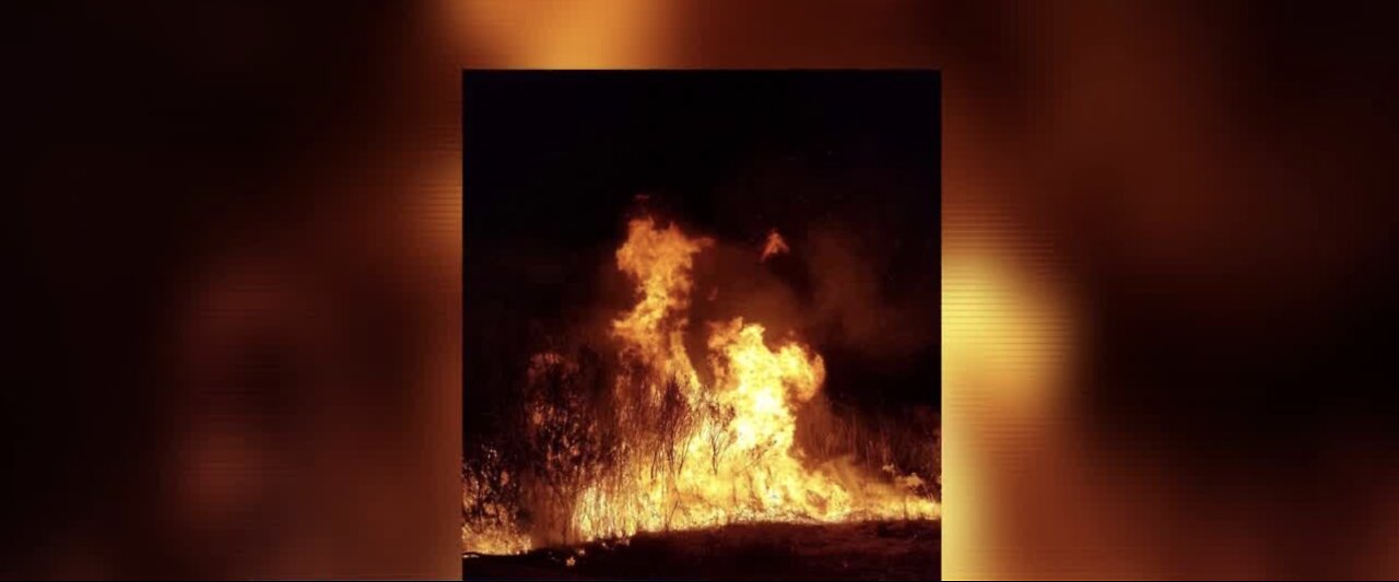 10 acre fire at Wetlands Park overnight