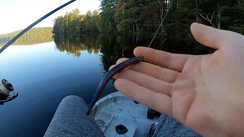 Fall Evening Bass Fishing on a Pond w/ Drop-Shot & Jig