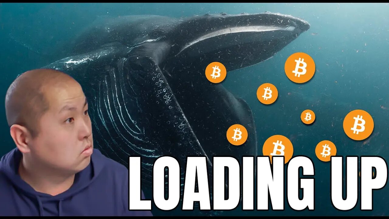 Bitcoin Whales Are LOADING Up Because of This... (Bank Failure Imminent)