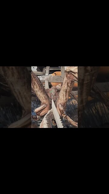 Osiris: New Dawn - Surprise!!!