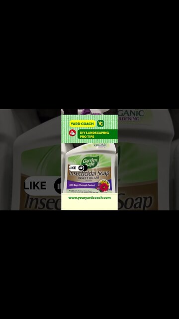 Insect Control for your Ornamental Landscape | DIY Landscaping Products