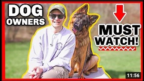 THE MOST OVERLOOKED DOG TRAINING COMMAND!