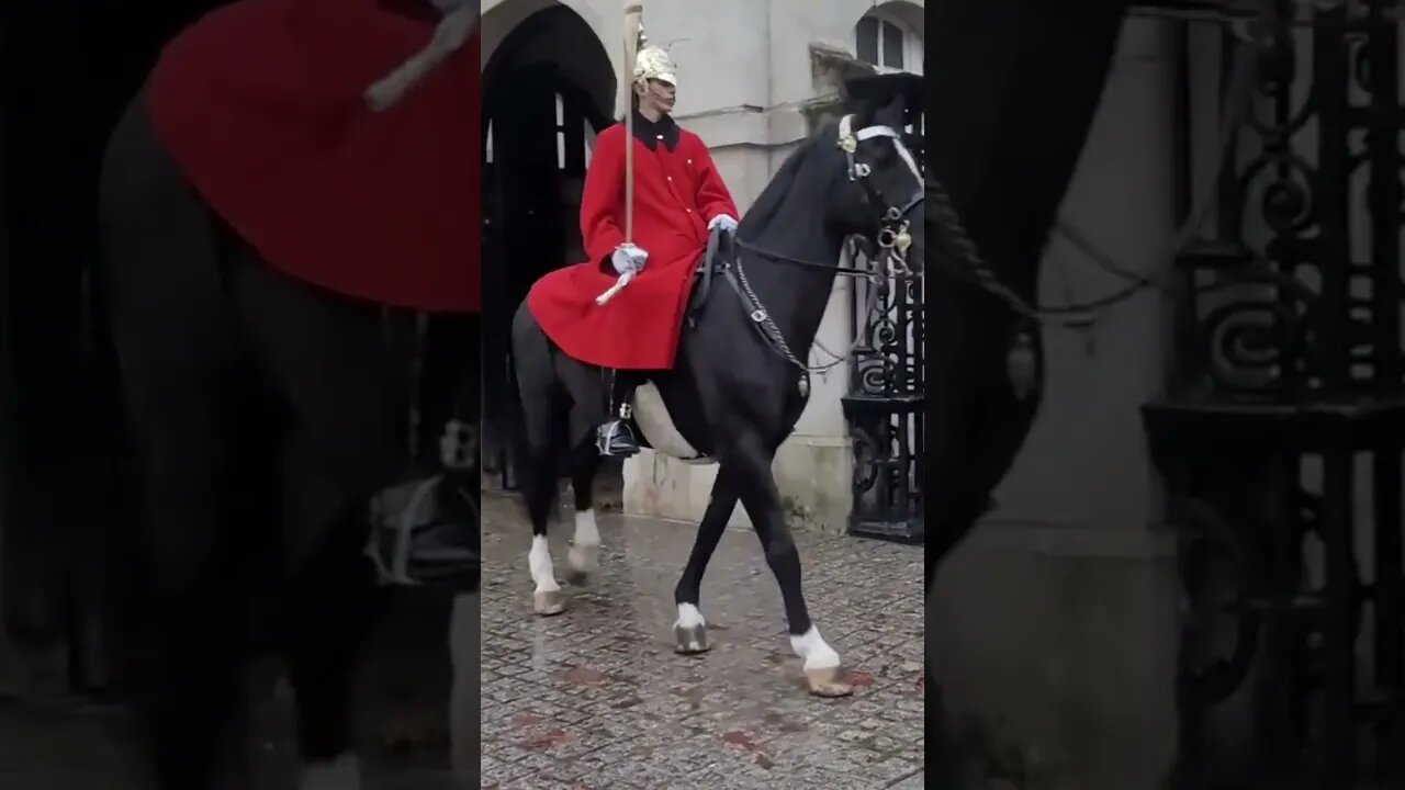 It's raining 🌧 changing of the Guards #horseguardsparade