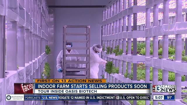 Indoor farm opens in Las Vegas