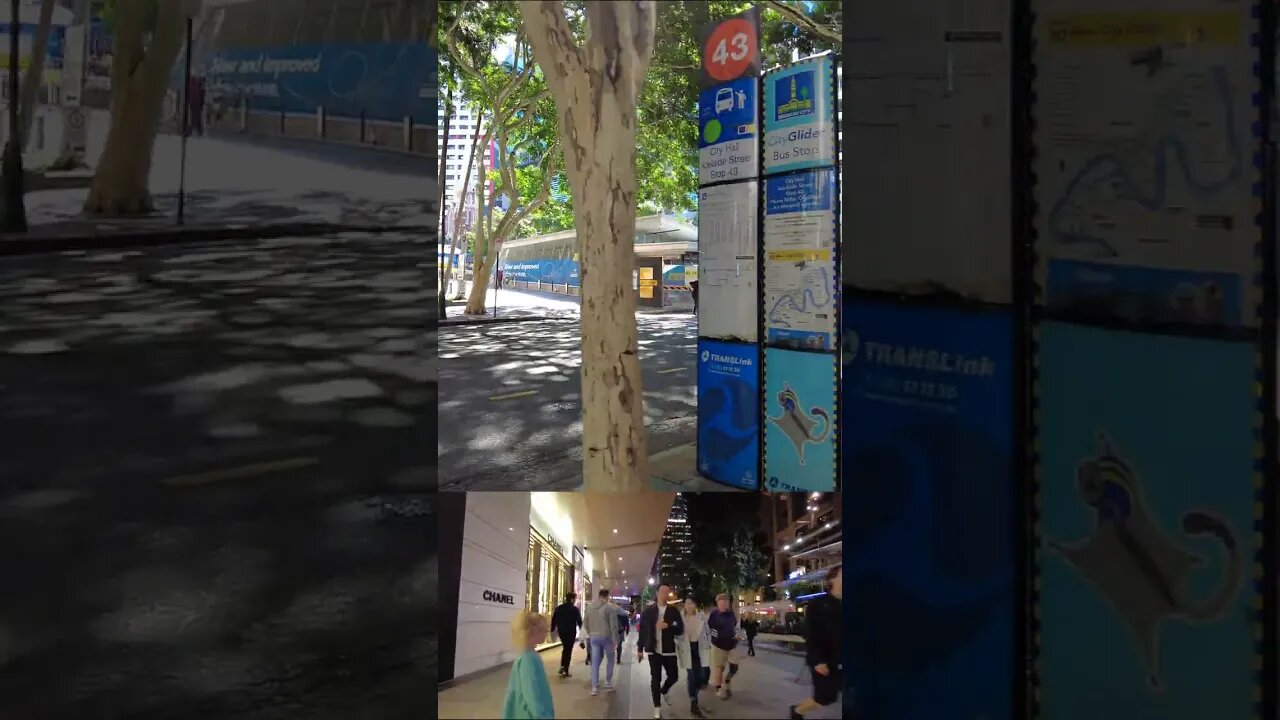 BRISBANE CITY WALKING TOUR EXPERIENCE || QLD - Australia