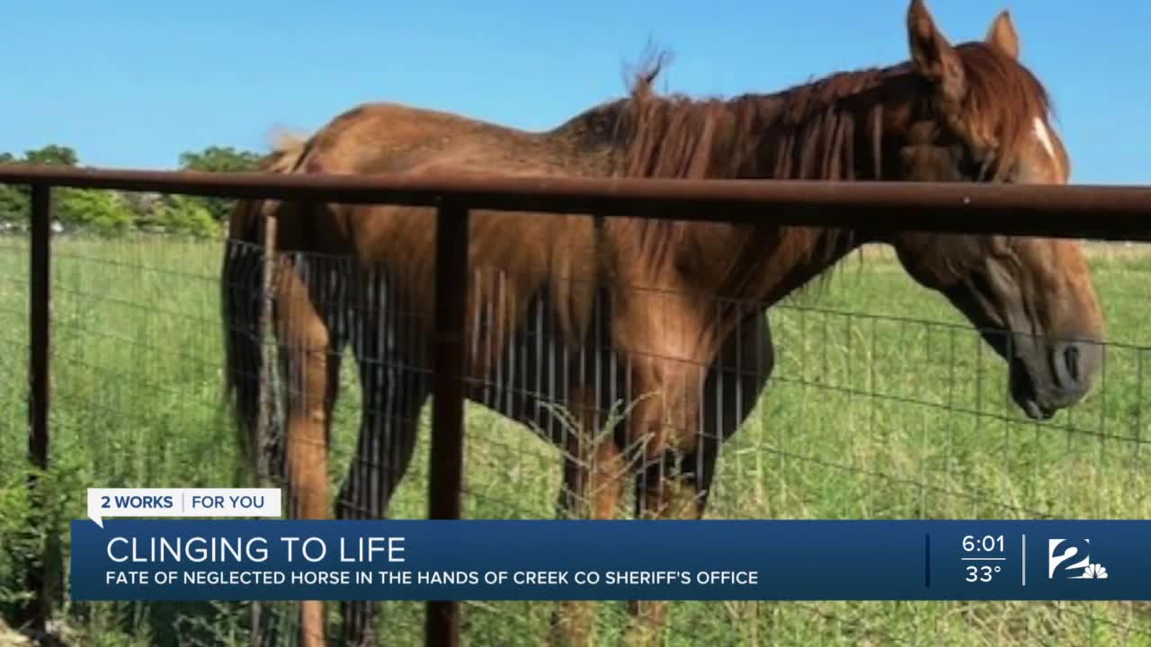 Fate of neglected horse in the hands of Creek Co. Sheriff's Office