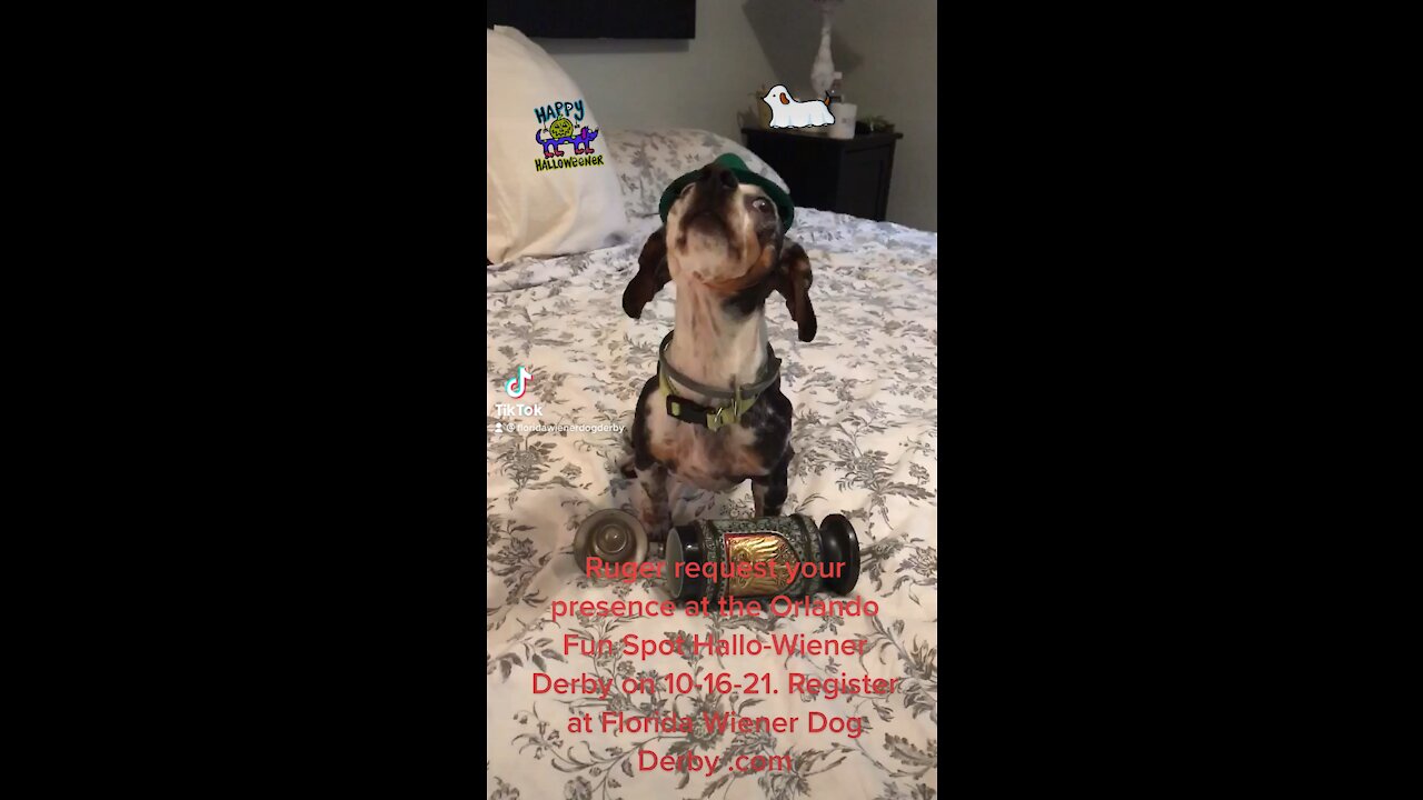 Fun Spot Orlando 10-16-2021