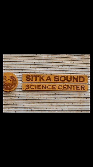 EP23. Salmon in Alaska #salmon #vlog #Alaska