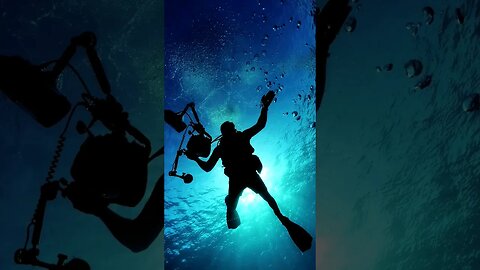 Tüplü dalış disiplinlerine uymak, sizin keyif ve güvenliğinizi artırır. #shorts #deniz #balık #scuba