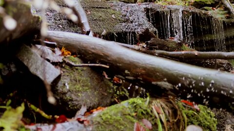 Relaxing moments in the forest with a waterfall