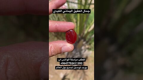 عقيق يماني كبدي #السعودية #امارات #بحرينيات #عراق #قطر