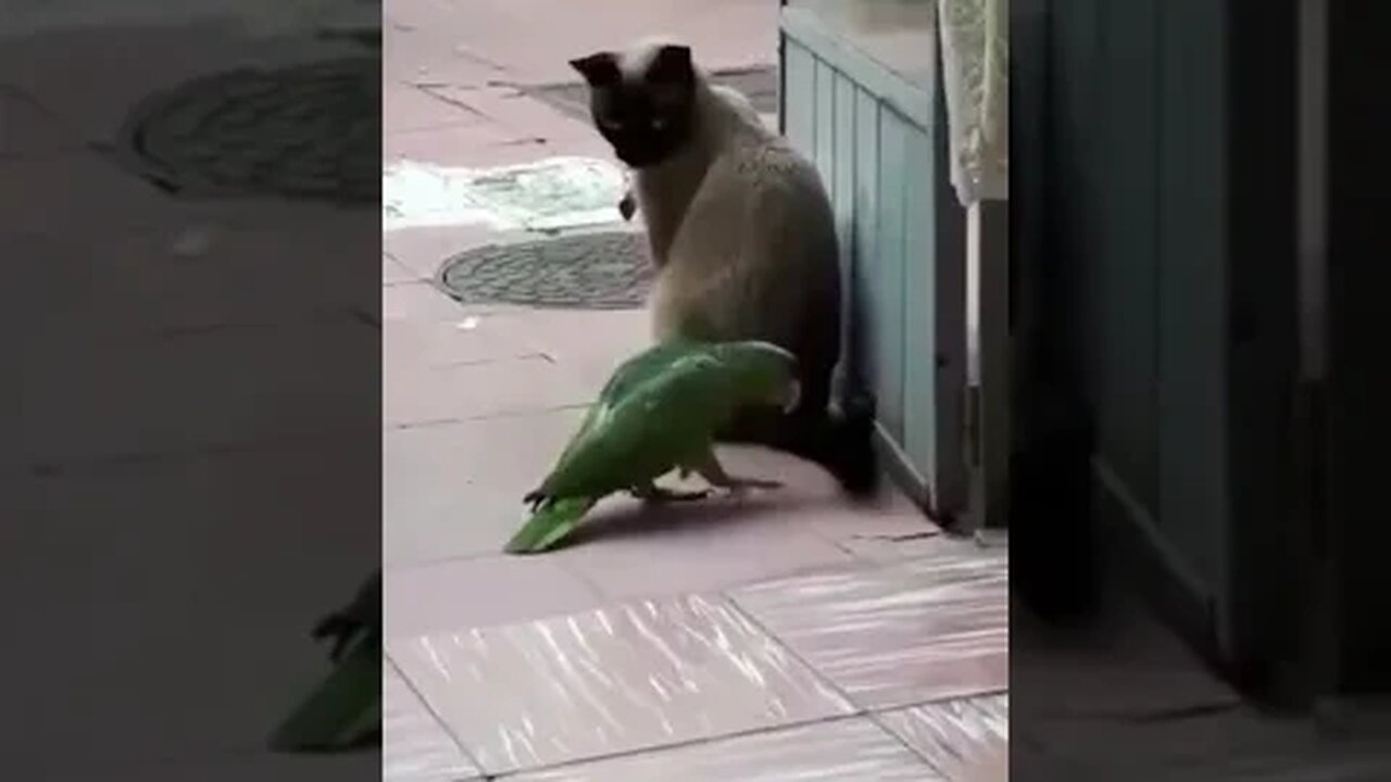 Almost!