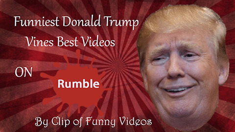 Funniest Donald Trump Vines - Best Video - Clip of Funny Video