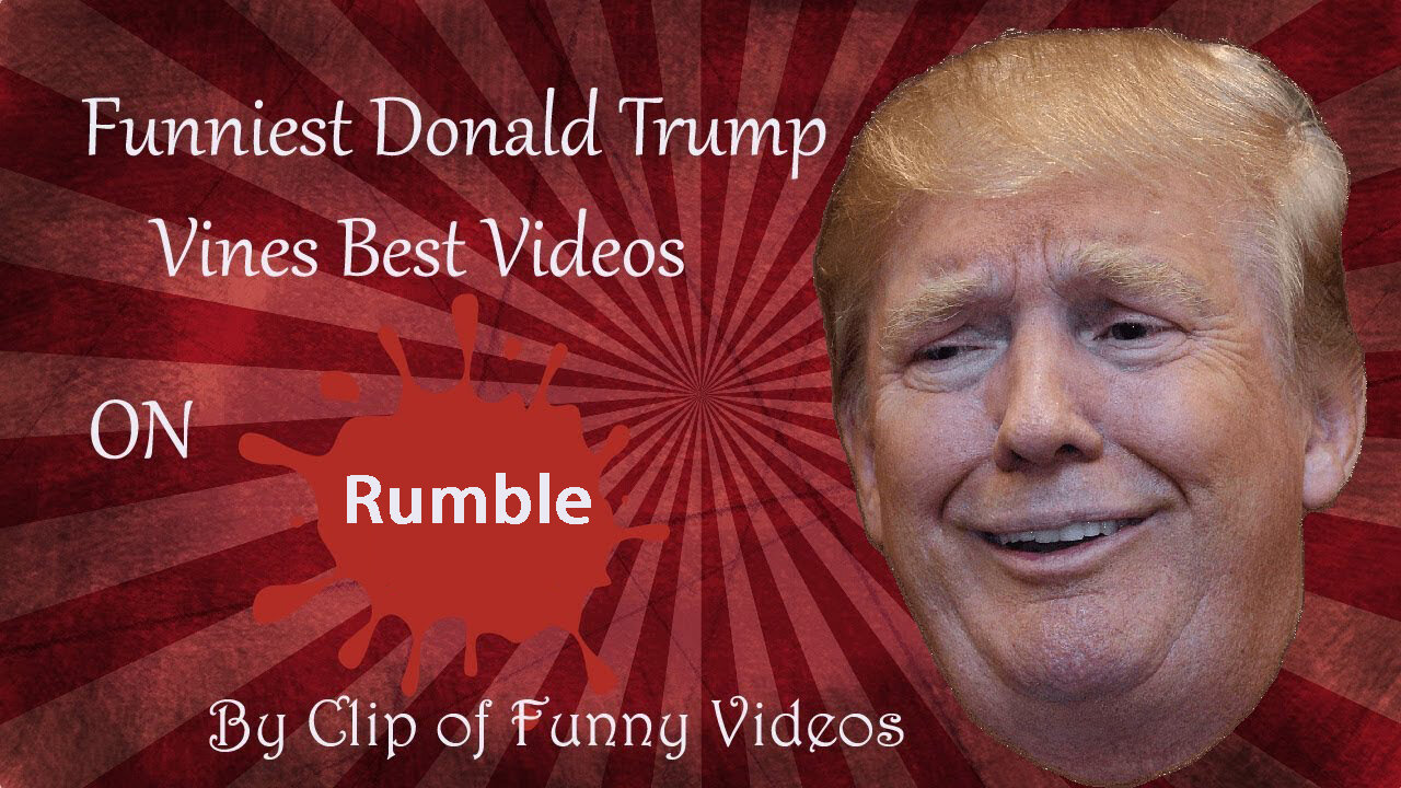 Funniest Donald Trump Vines - Best Video - Clip of Funny Video