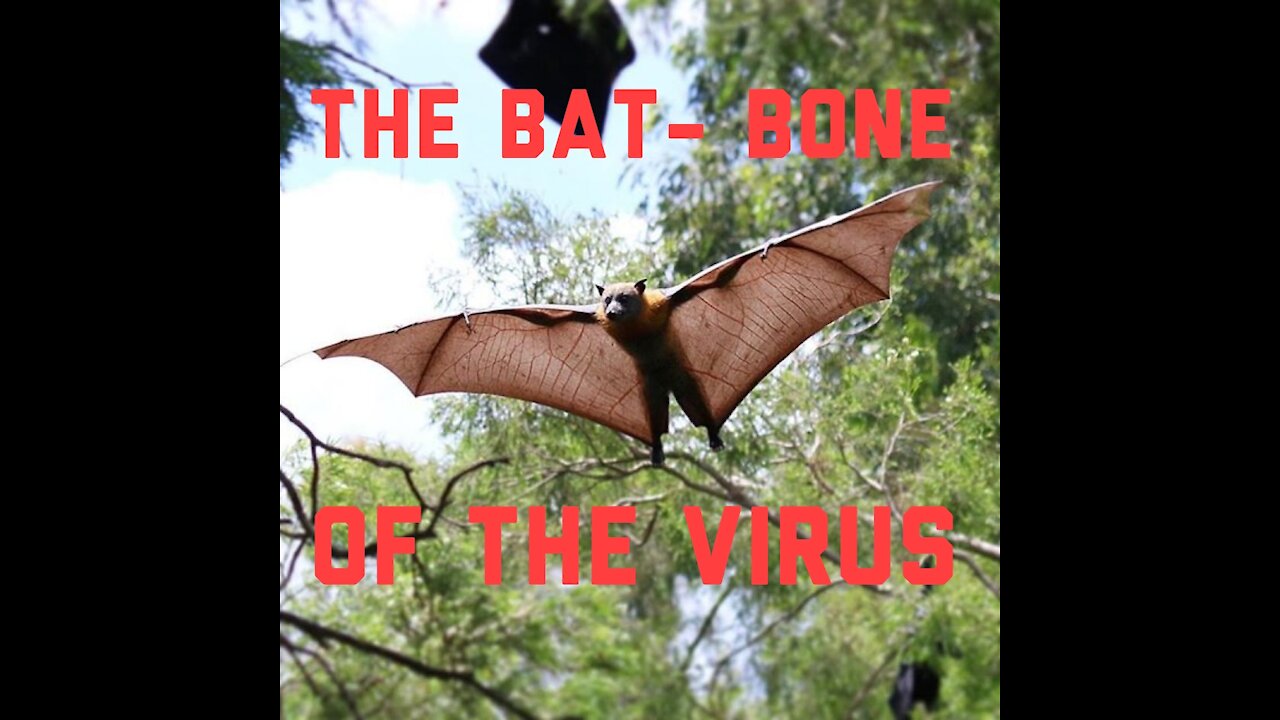 The Bat-Bone of the Virus