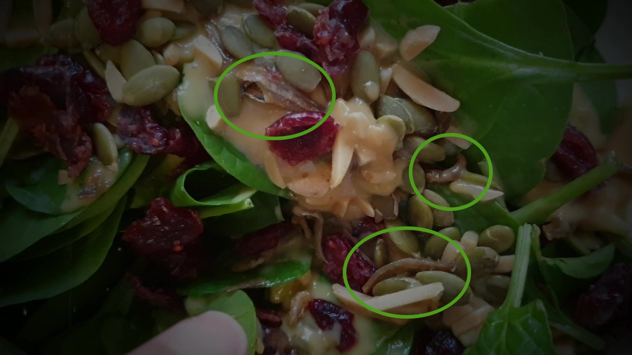 Bugs in my SALAD???