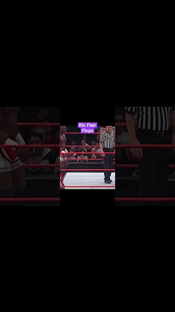 RIC FLAIR Flops (Drip)